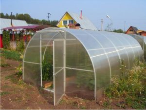 Теплицы из поликарбоната: преимущества, выбор и практическое применение